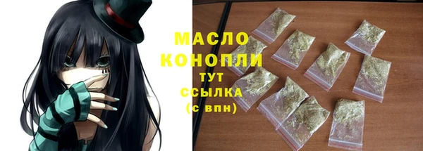 2c-b Каменка