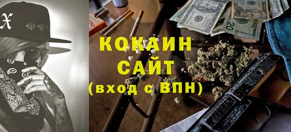 2c-b Каменка