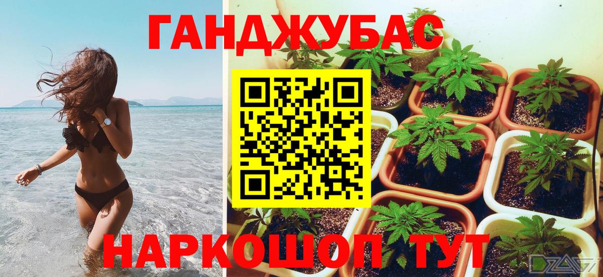 Конопля AK-47  Вход с VPN  Ковров  Каннабис индика  Каннабис White Widow  Бошки марихуана конопля 